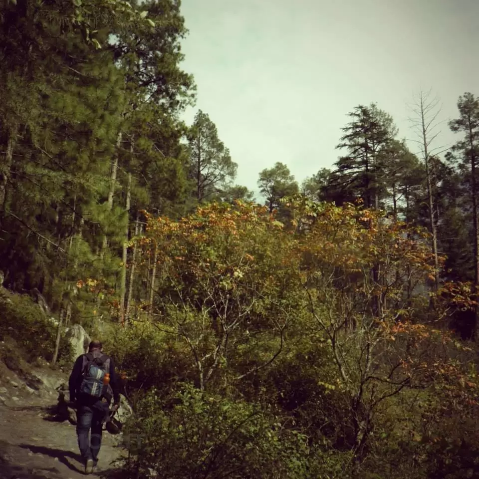 Photo of Parvati Valley By Mohit Nair