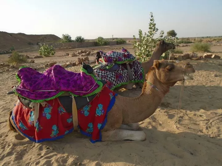 Photo of Jaiselmer By Ashwini Rao