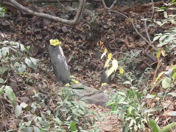 Photo of Ujire By Dinkar Hirgan