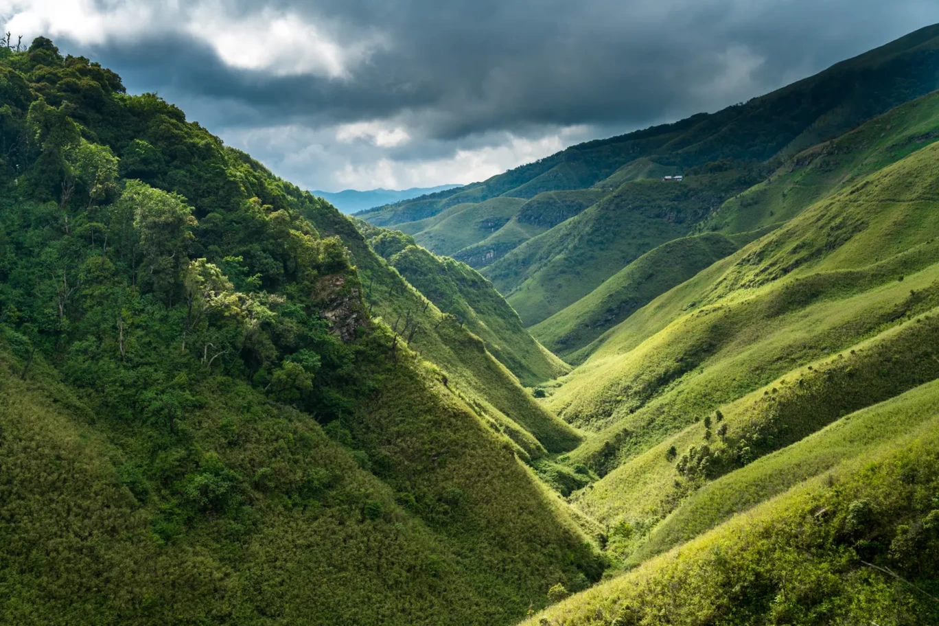 Photo of Dzukou Valley Trek By ShiviSha
