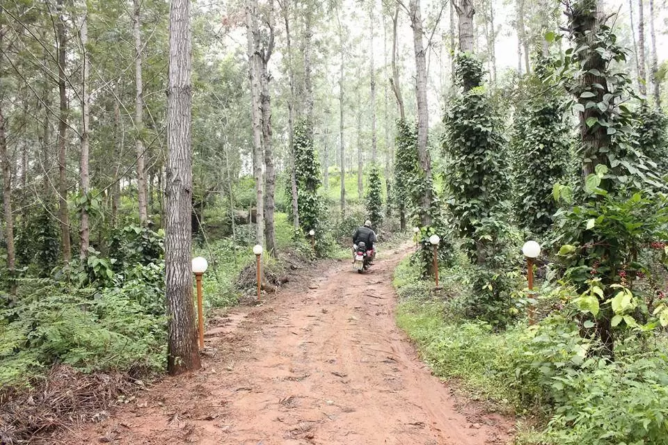 Photo of Kolli Hills By Jugal Mehta