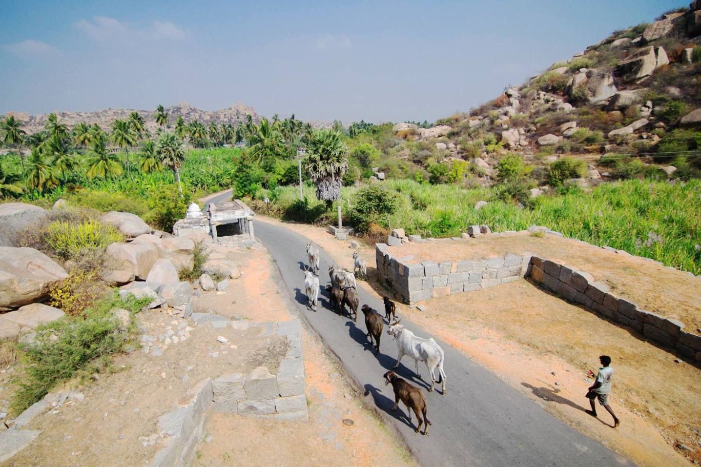Photo of Hampi - The Remains of The Vijayanagar Empire (Photo Story) By Diptarka Gupta