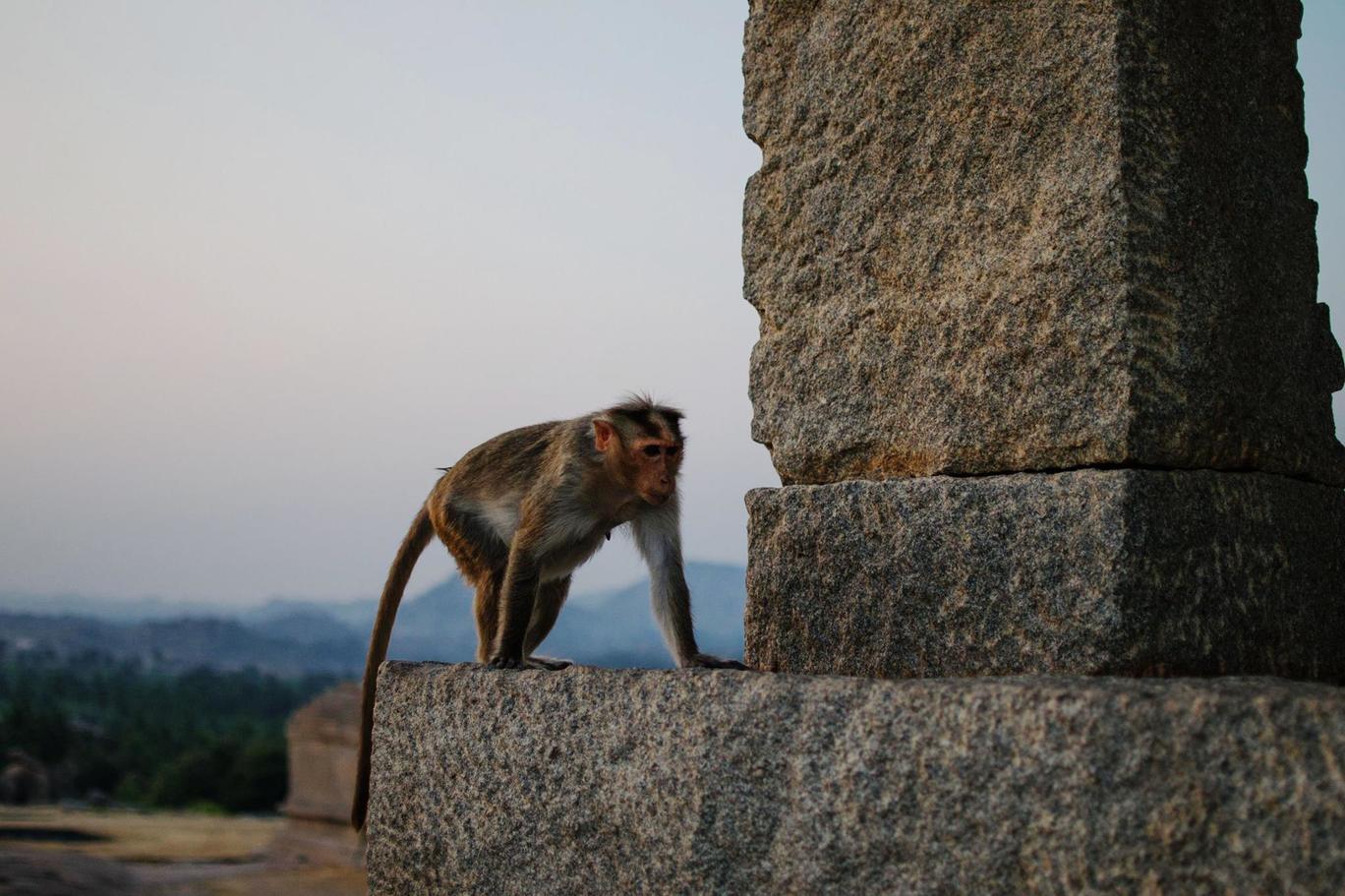 Photo of Hampi - The Remains of The Vijayanagar Empire (Photo Story) By Diptarka Gupta