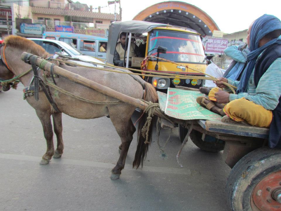 Photo of Kumbh Mela 2013 - Allahabad By Prahlad Raj