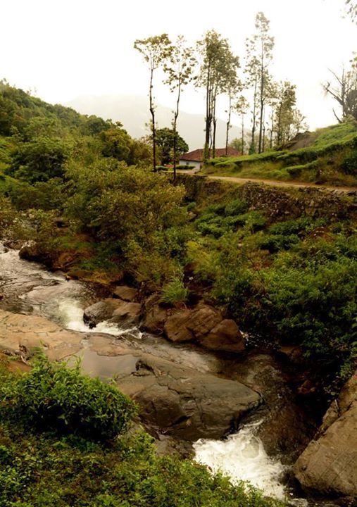 Photo of On our way to Chembra Peak, Wayanad, Kerala By Kaza Ghosh