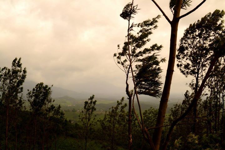 Photo of On our way to Chembra Peak, Wayanad, Kerala By Kaza Ghosh