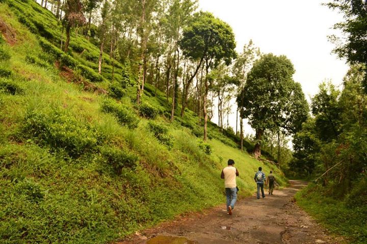 Photo of On our way to Chembra Peak, Wayanad, Kerala By Kaza Ghosh