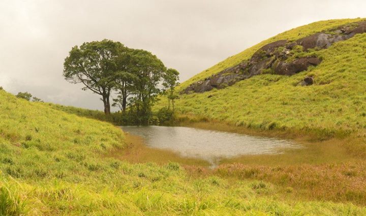 Photo of Chembra Peak, Wayanad, Kerala By Kaza Ghosh