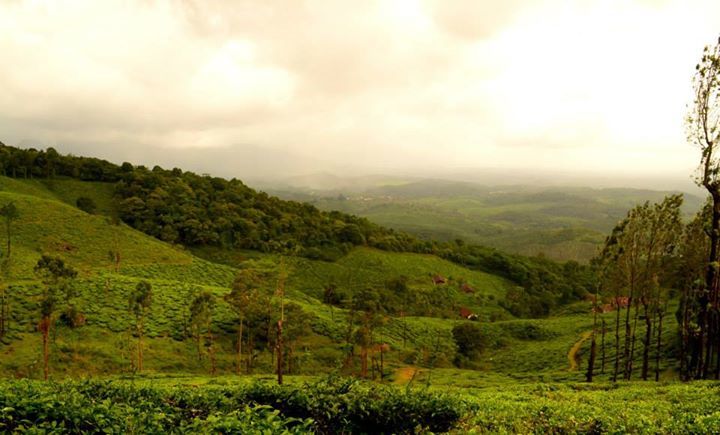 Photo of On our way to Chembra Peak, Wayanad, Kerala By Kaza Ghosh