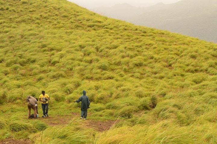 Photo of Chembra Peak, Wayanad, Kerala By Kaza Ghosh