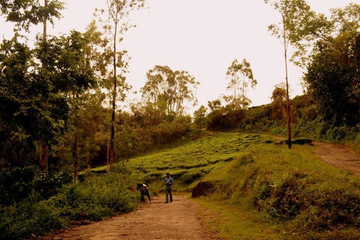 Photo of On our way to Chembra Peak, Wayanad, Kerala By Kaza Ghosh
