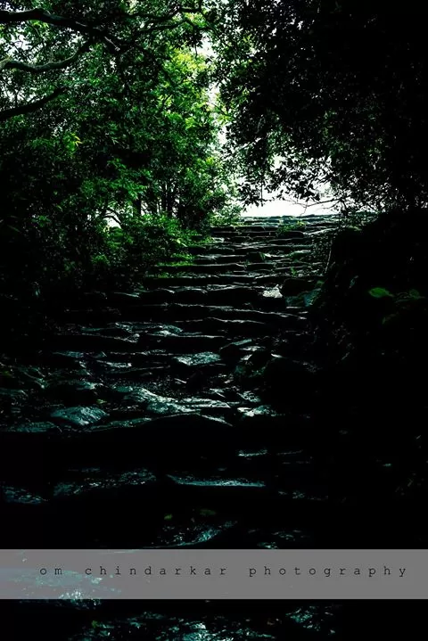 Photo of Sudhagad By Om Chindarkar