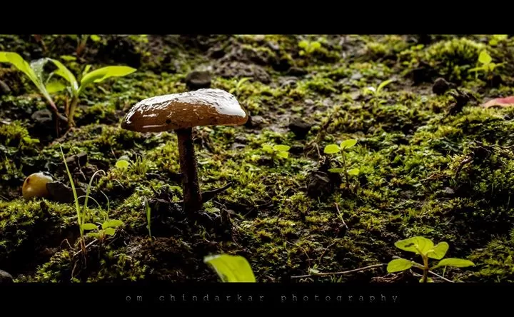 Photo of Sudhagad By Om Chindarkar