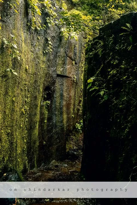 Photo of Sudhagad By Om Chindarkar