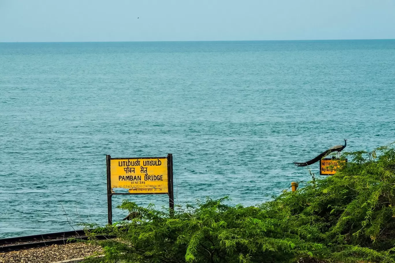 Photo of Pamban Palam By Ebin Ephrem Elavathingal
