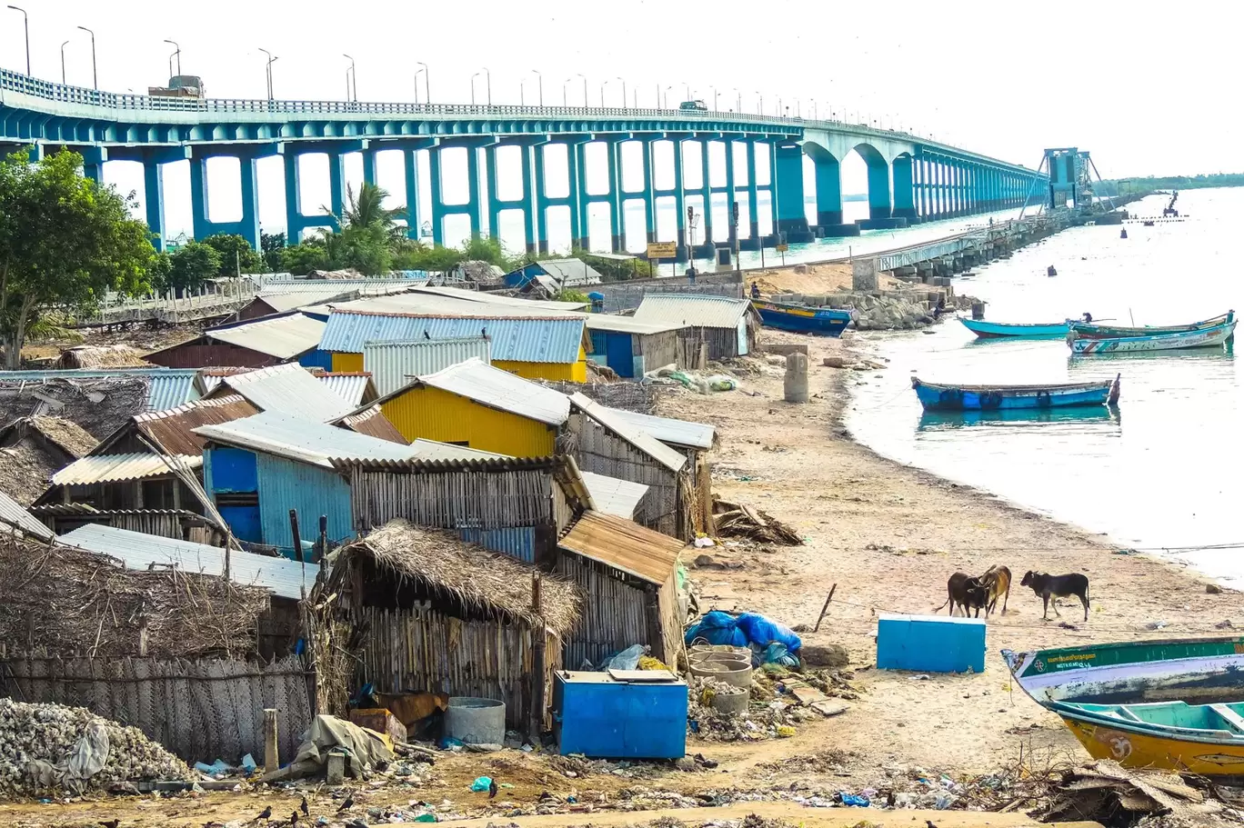 Photo of Pamban Palam By Ebin Ephrem Elavathingal