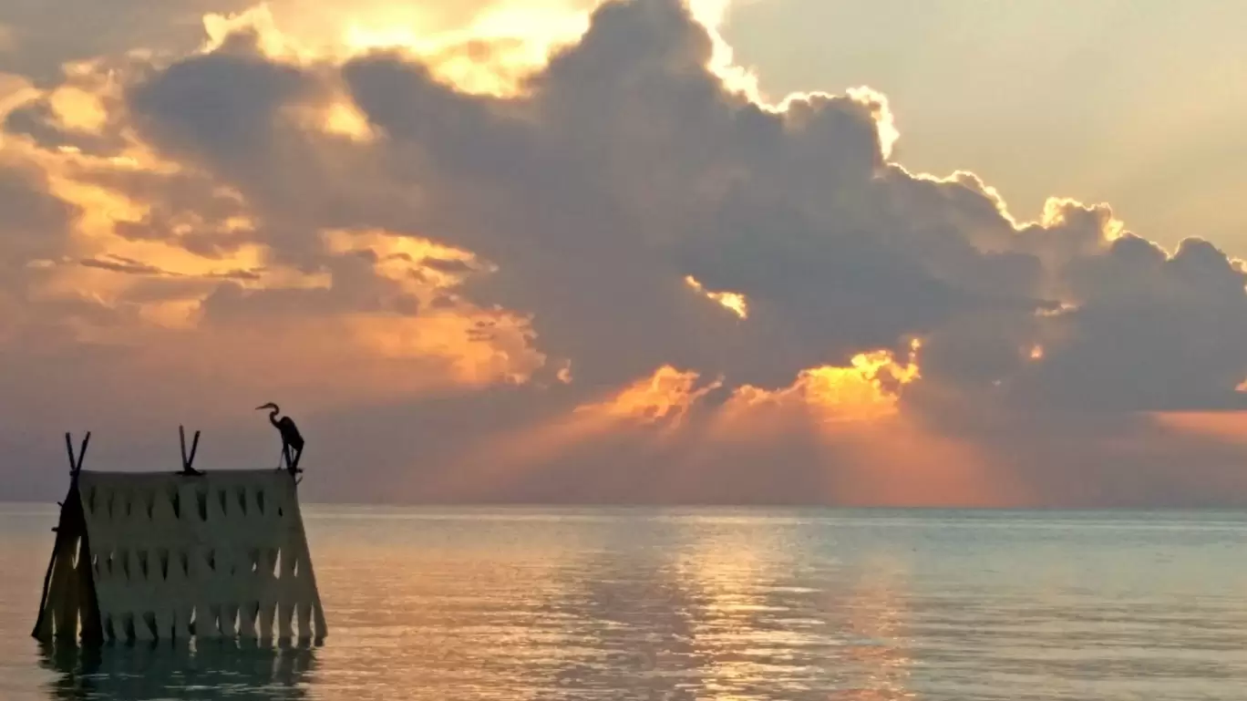 Photo of Cayo Coco By Katie Collins Bray