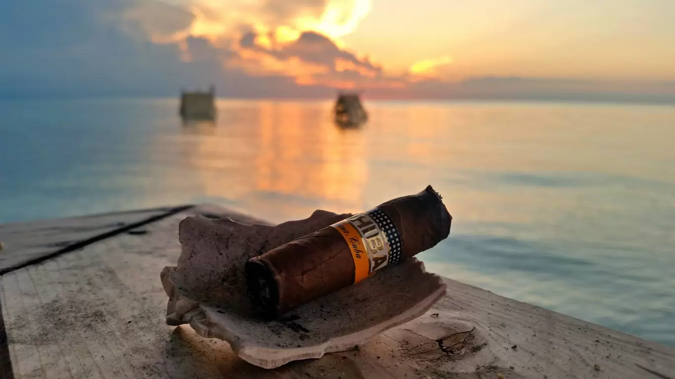 Photo of Cayo Coco By Katie Collins Bray