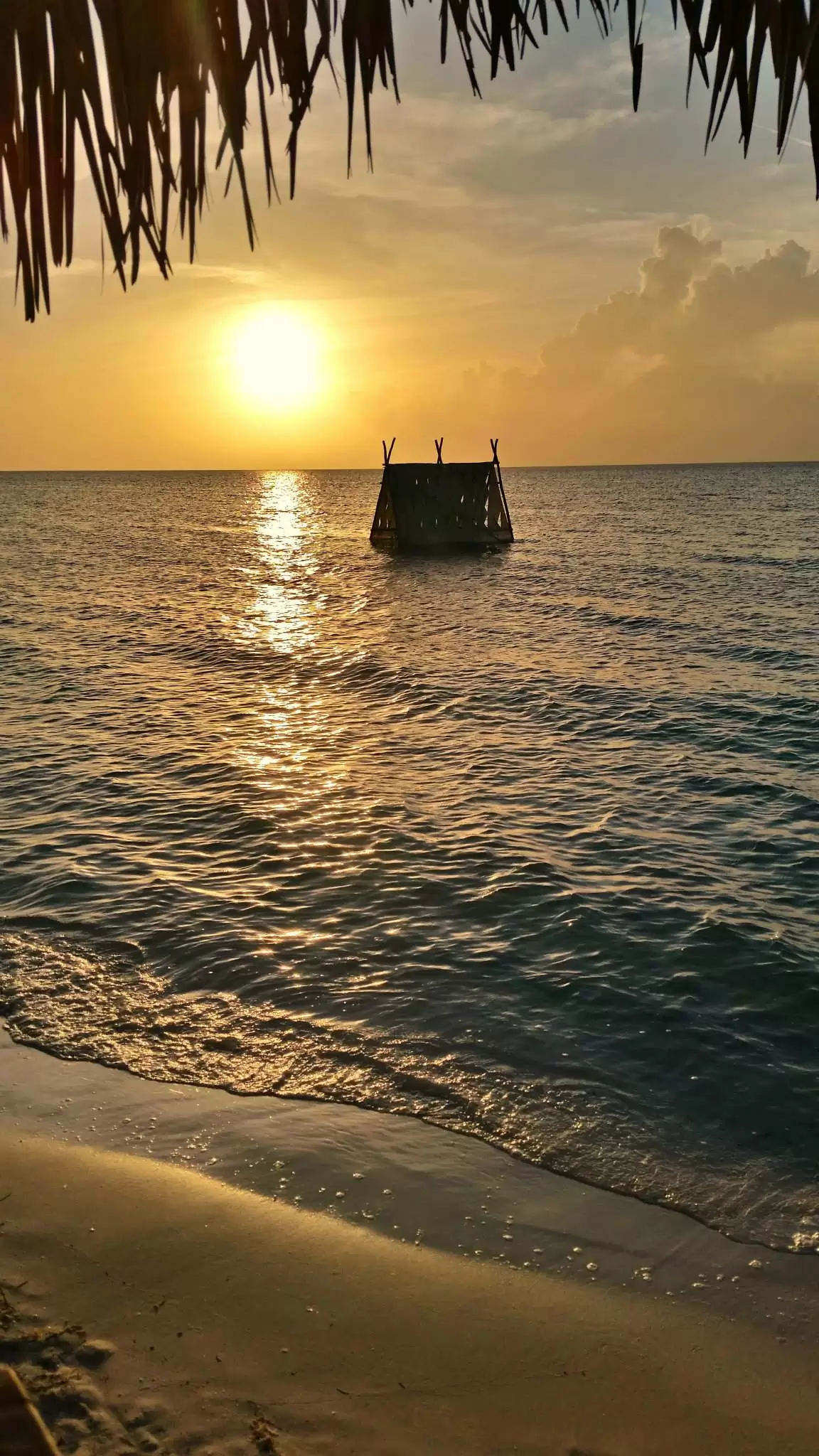 Photo of Cayo Coco By Katie Collins Bray