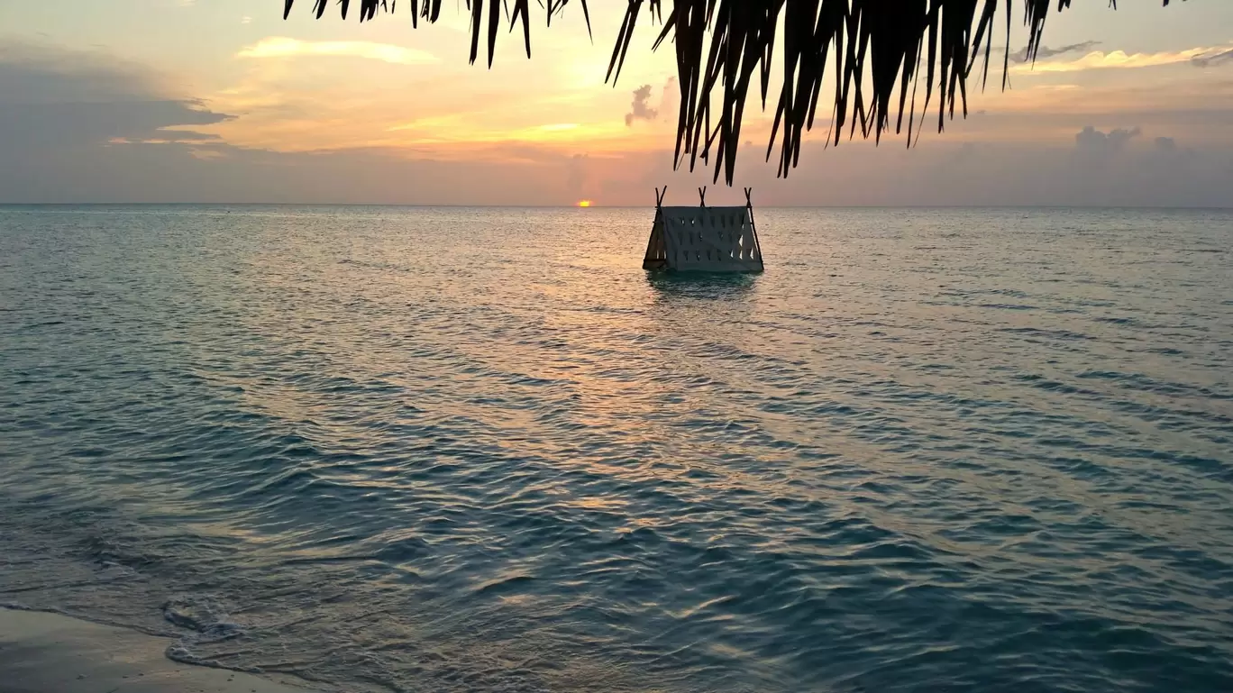 Photo of Cayo Coco By Katie Collins Bray