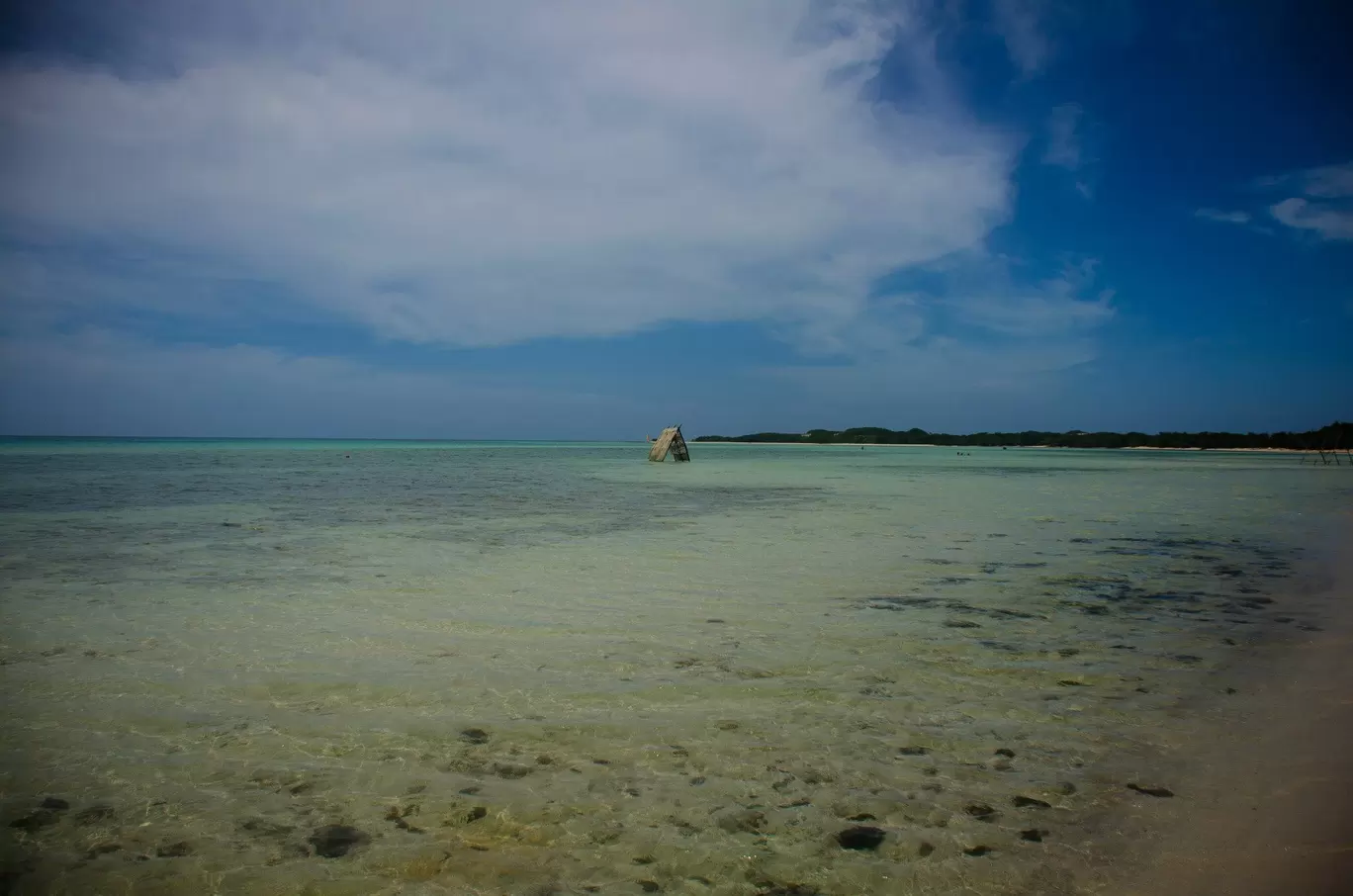 Photo of Cayo Coco By Katie Collins Bray