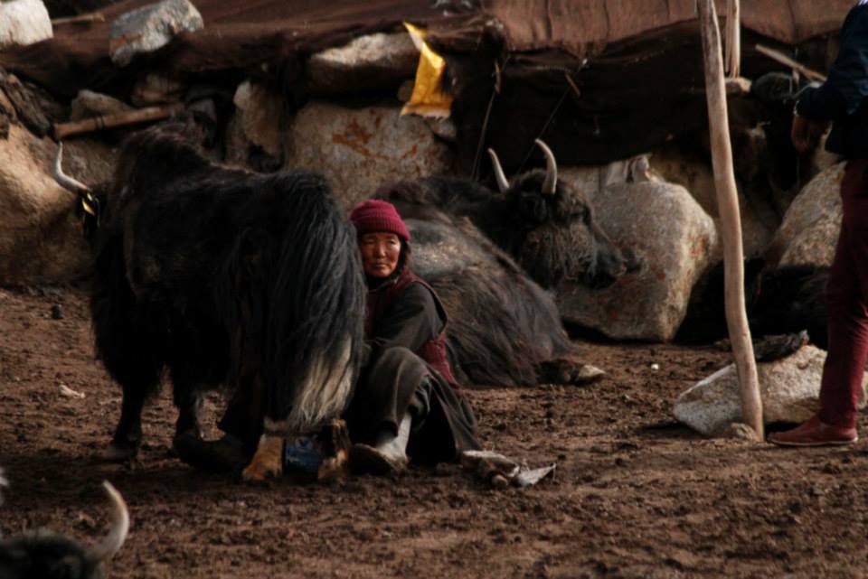 Photo of Himalayan People, Culture and Food By Neha jain - sweety