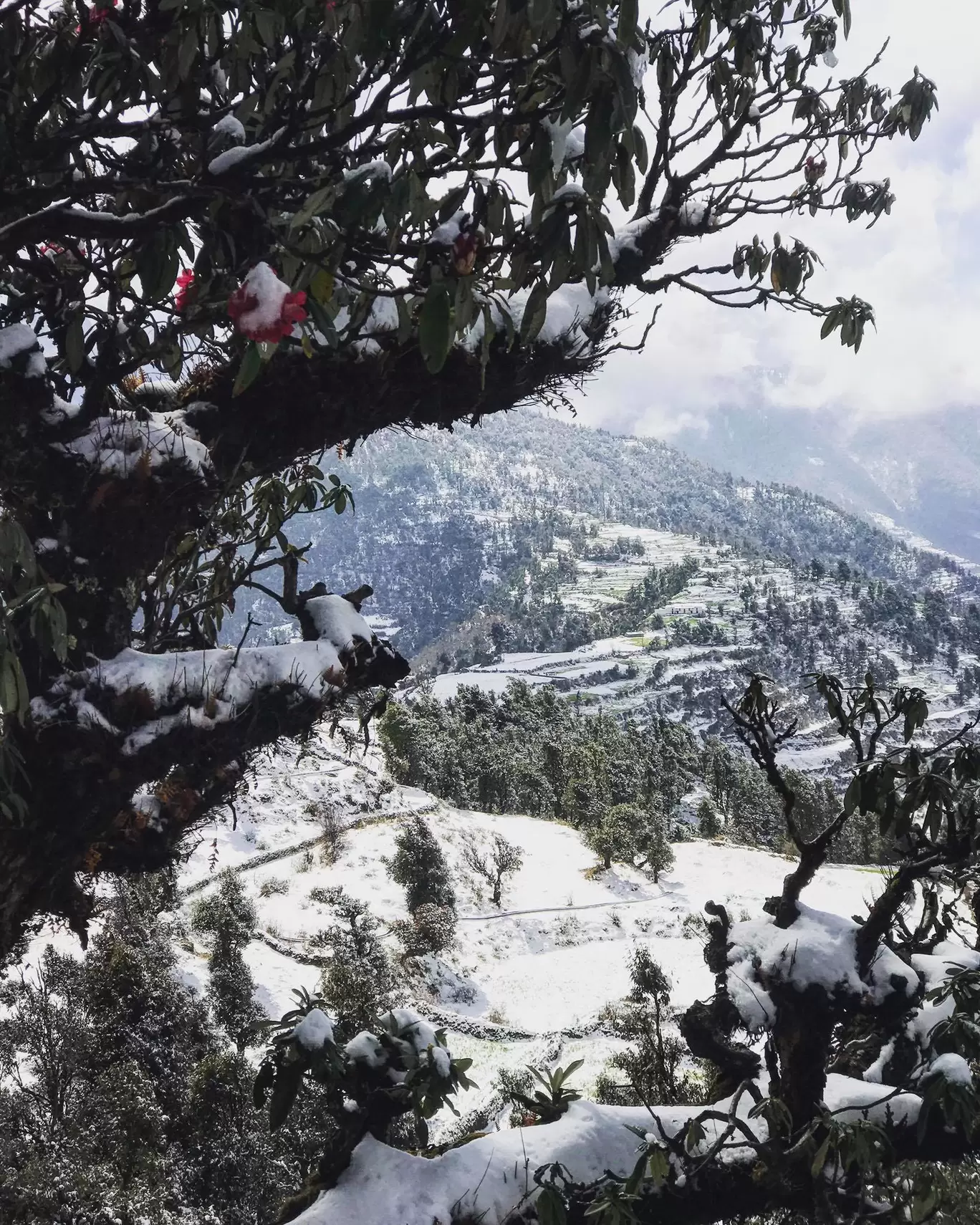 Photo of Uttarakhand By Divyansh
