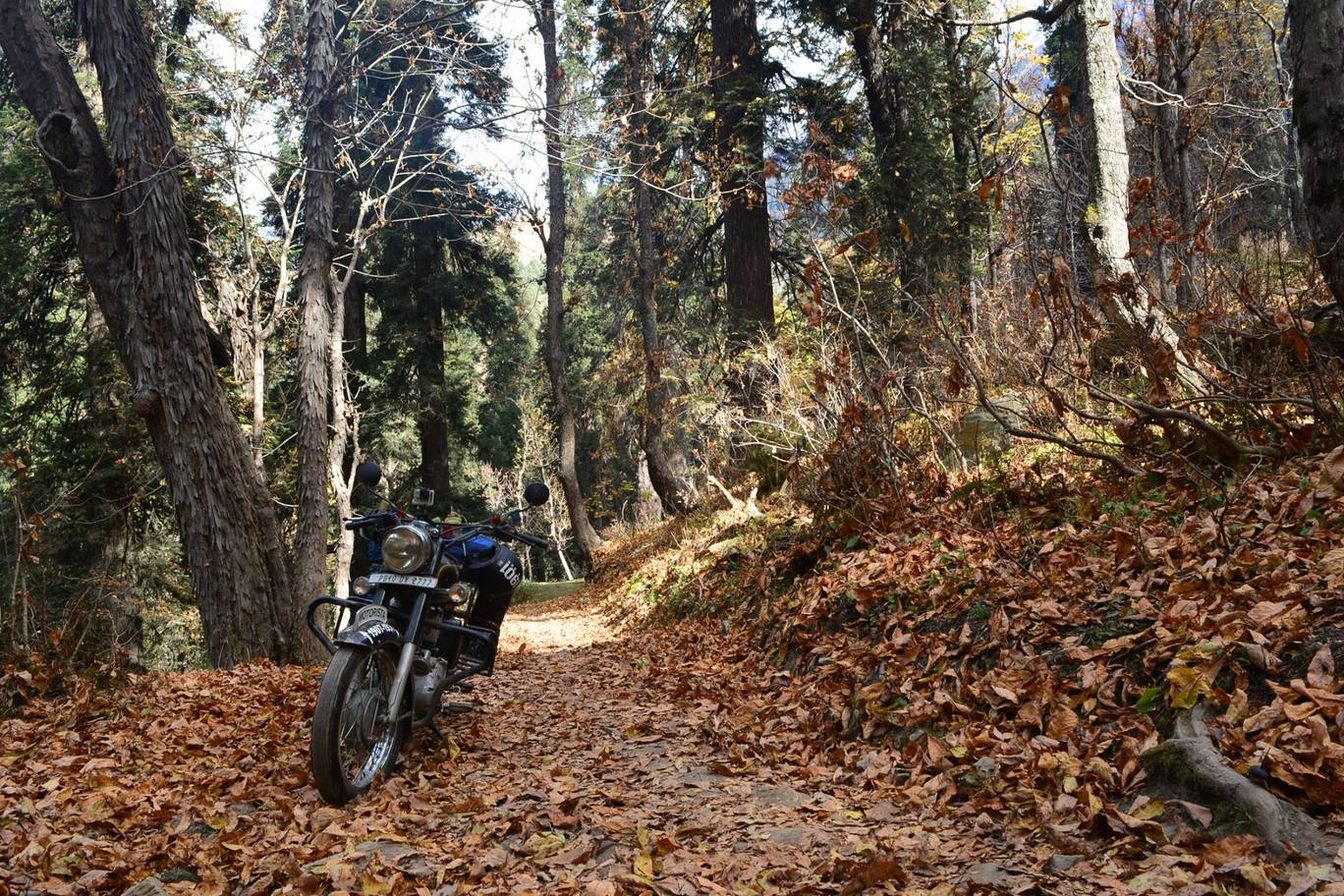 Photo of RIDE TO A REMOTE HIMACHAL VILLAGE -GUDDAN By MOTORISTA BIKE CLUB