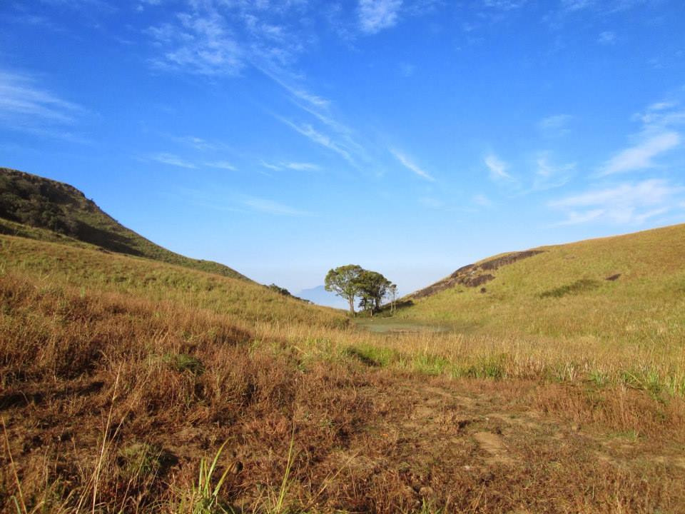 Photo of A cool day with nature at Chembra, Wayanad By Ravi Ranjan Singh