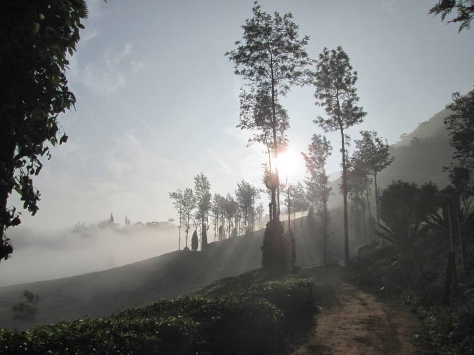 Photo of A cool day with nature at Chembra, Wayanad By Ravi Ranjan Singh