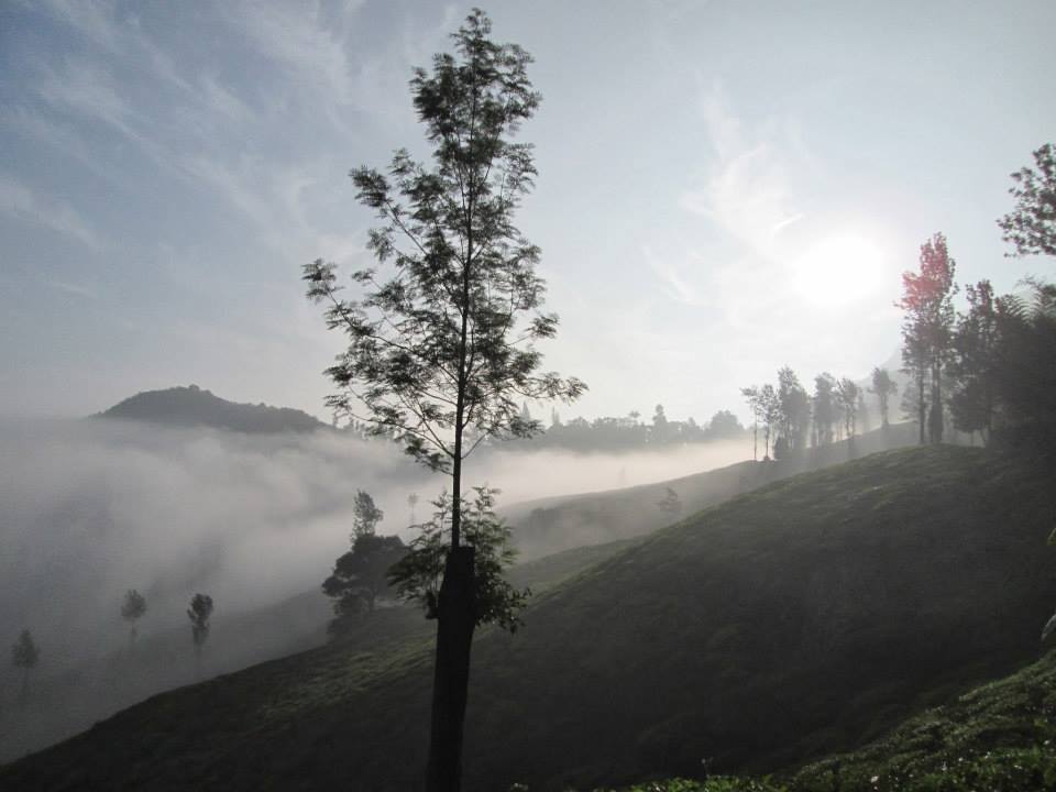 Photo of A cool day with nature at Chembra, Wayanad By Ravi Ranjan Singh