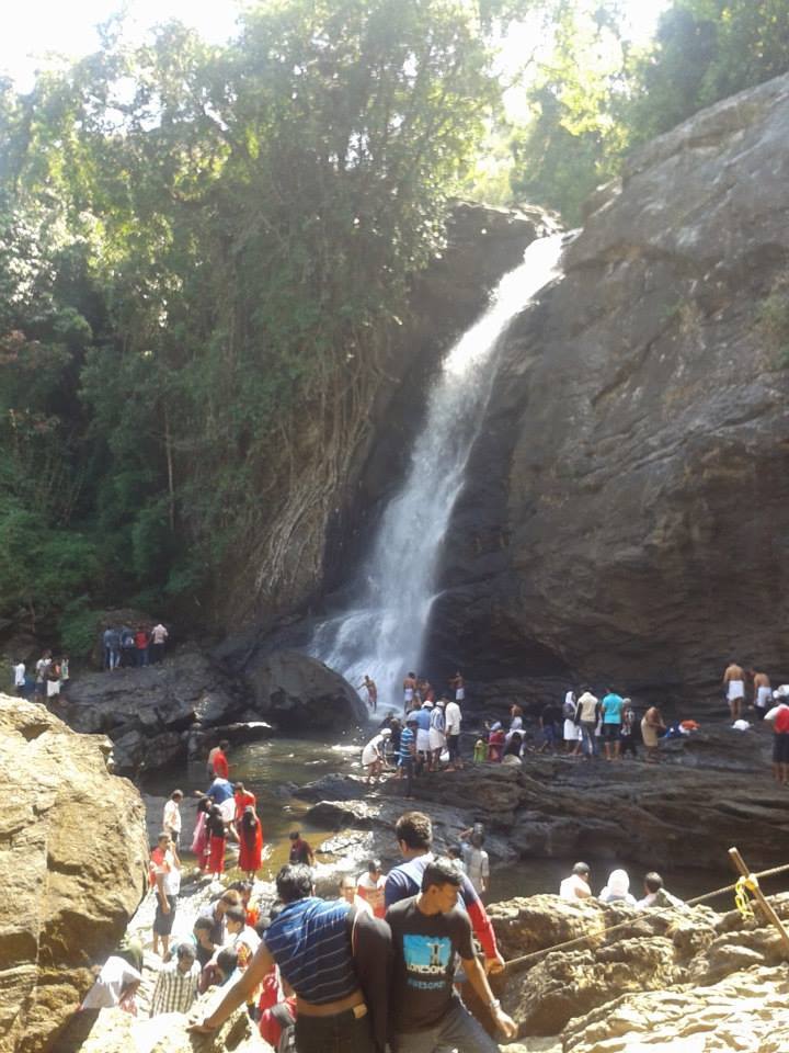 Photo of A cool day with nature at Chembra, Wayanad By Ravi Ranjan Singh