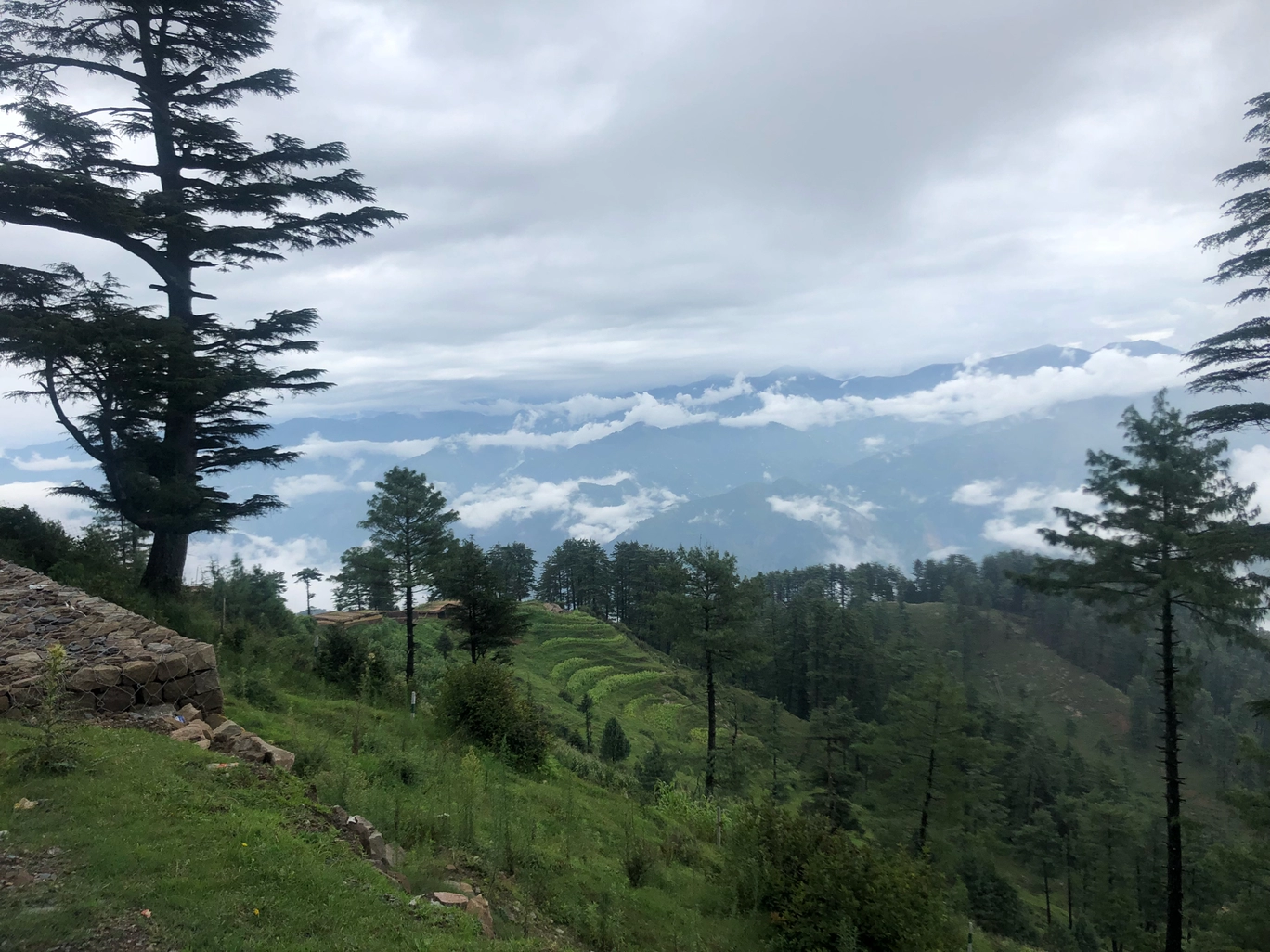 Photo of Patnitop/ sanasar lake By Tarun