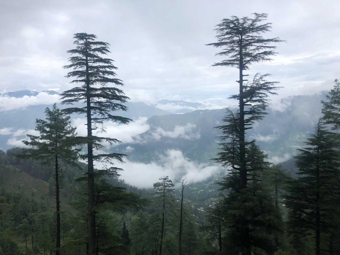 Photo of Patnitop/ sanasar lake By Tarun