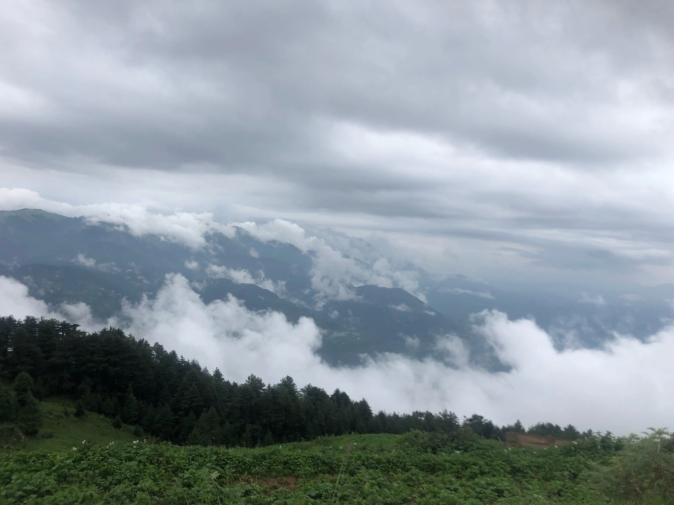 Photo of Patnitop/ sanasar lake By Tarun