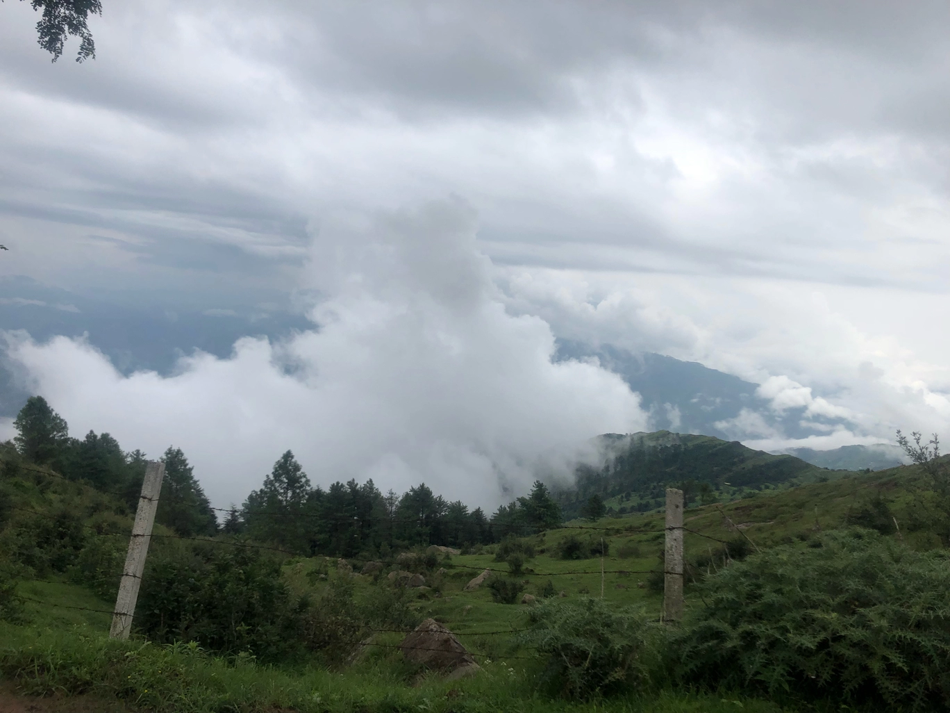 Photo of Patnitop/ sanasar lake By Tarun