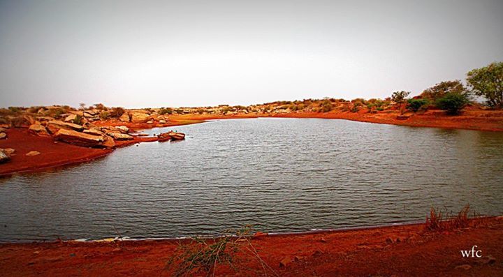 Photo of Feel Saurashtra's soul at Surendranagar district, Gujarat. By Umang Dave (IG: @umangxdave)