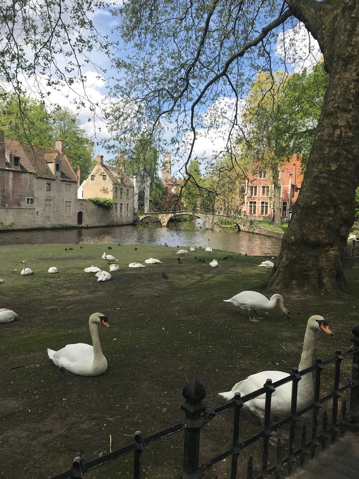 Photo of Bruges By sambhav.pati