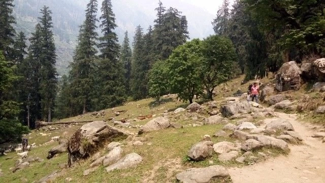 Photo of My 1st solo trip to Kheerganga trek.. #BeyondTheBorder By Ruth_Traveldiaries