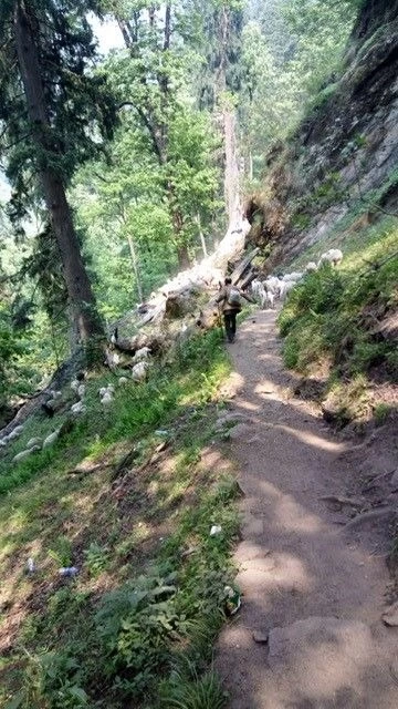 Photo of My 1st solo trip to Kheerganga trek.. #BeyondTheBorder By Ruth_Traveldiaries