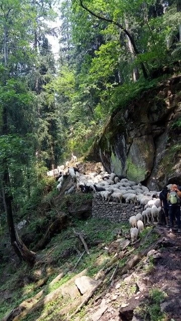 Photo of My 1st solo trip to Kheerganga trek.. #BeyondTheBorder By Ruth_Traveldiaries