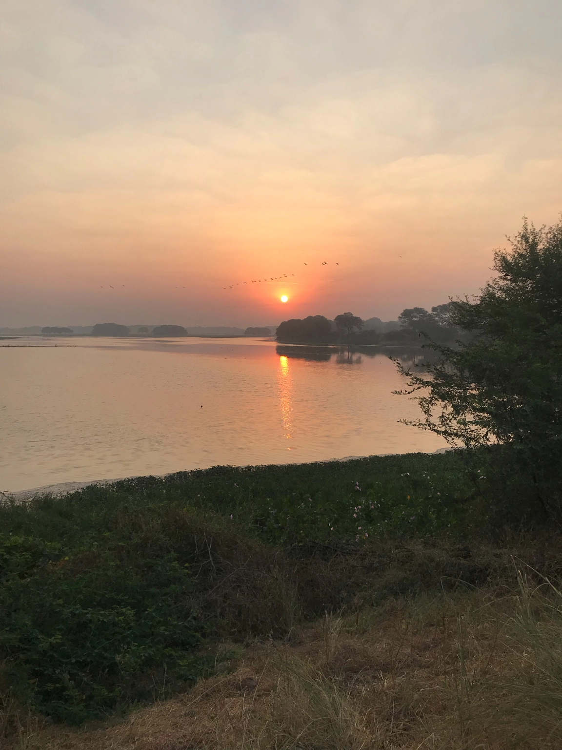 Photo of Gujarat By Ruchi