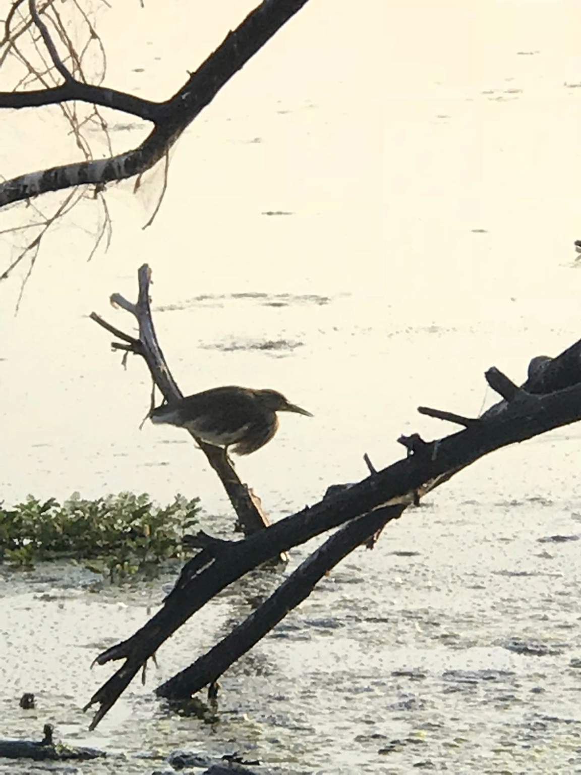 Photo of Gujarat By Ruchi