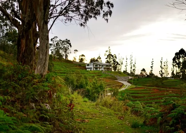 Photo of Princess of hills- Kodaikkanal By ArJun RaJu