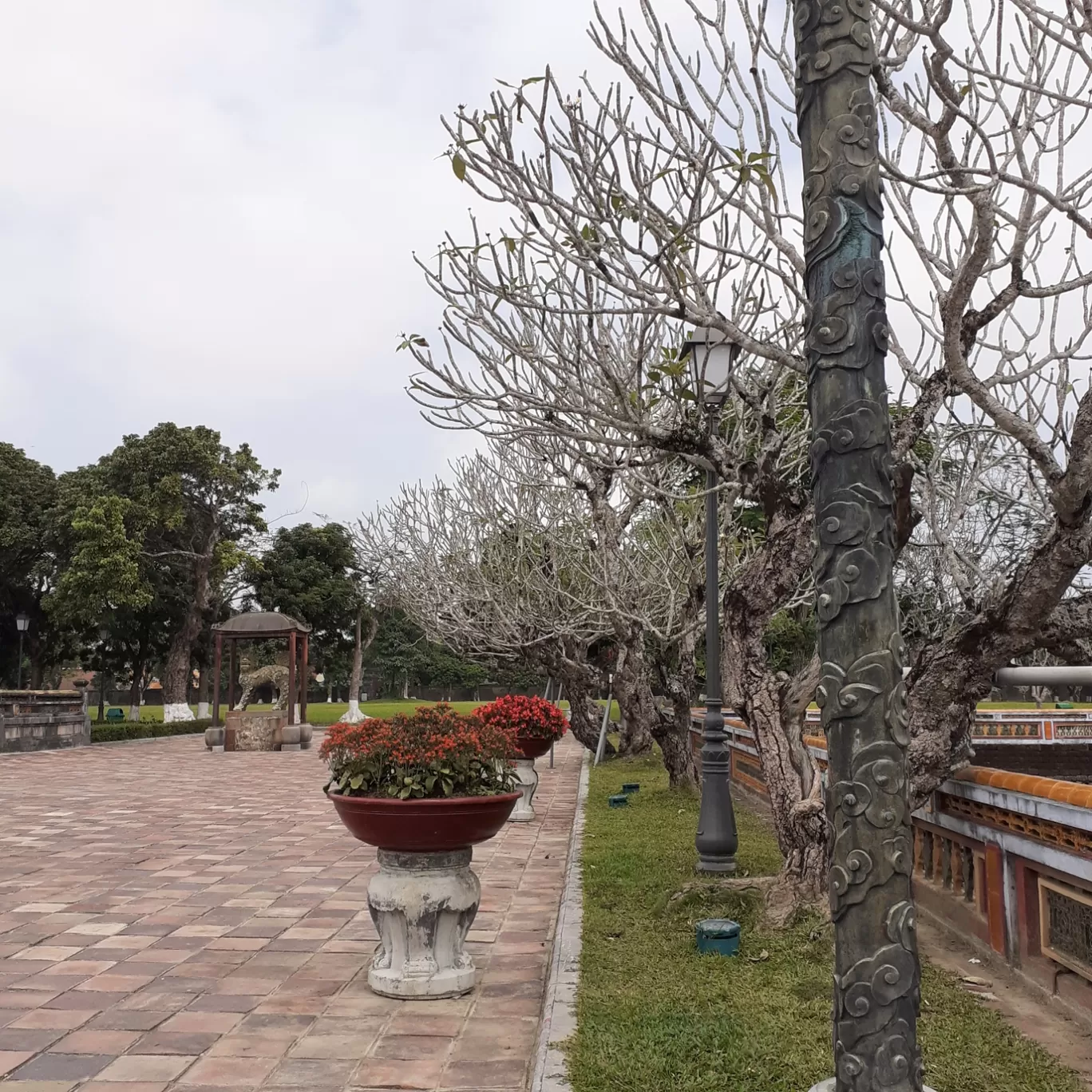 Photo of Hue By Saptaparni Chakrabarti