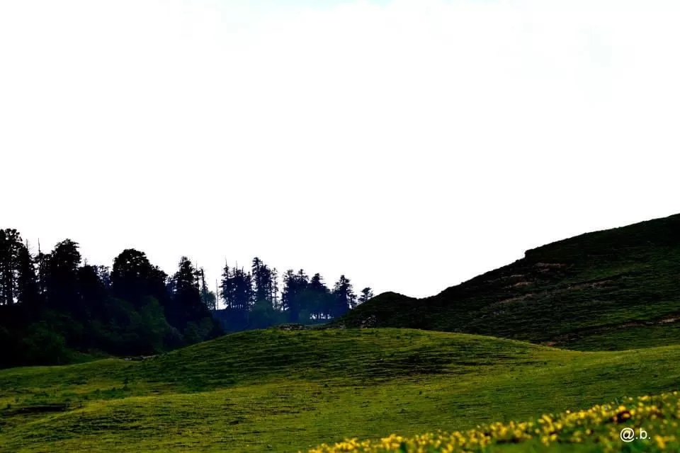 Photo of Dayara Bugyal By Dr Amit Badola