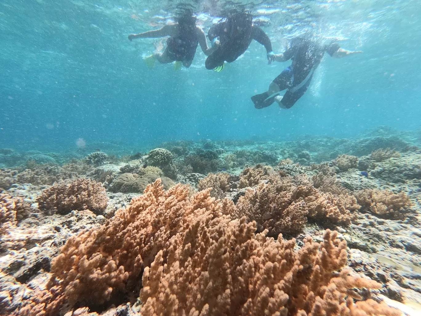 Photo of Gili Islands By Ayush Mittal