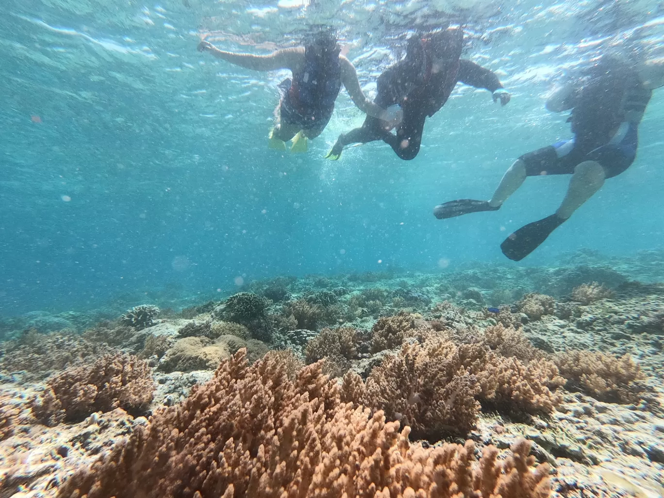 Photo of Gili Islands By Ayush Mittal