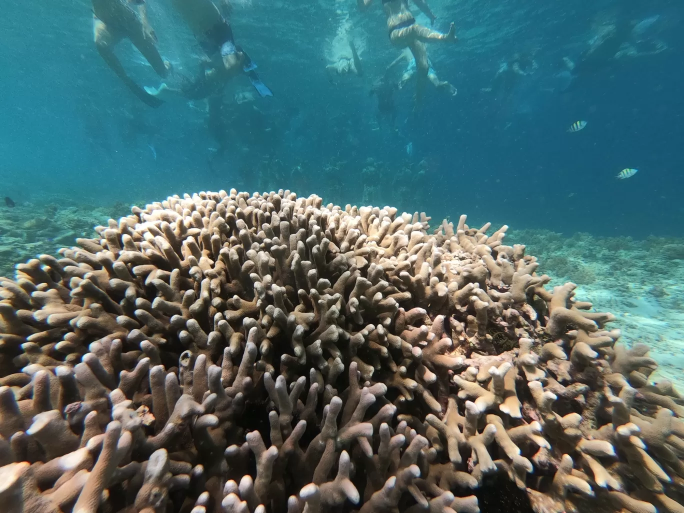 Photo of Gili Islands By Ayush Mittal