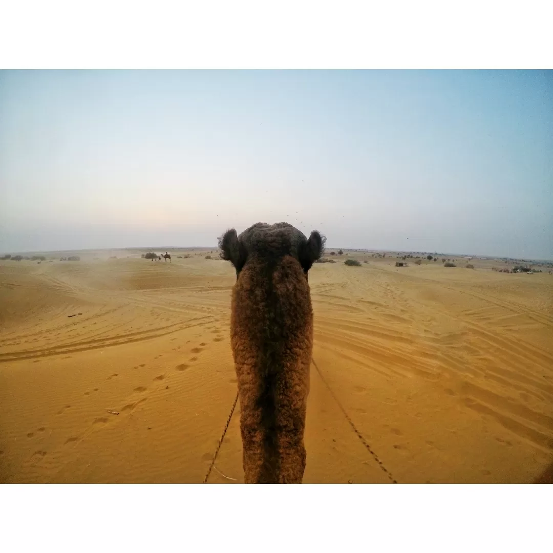 Photo of Jaisalmer By Tushar Makhija